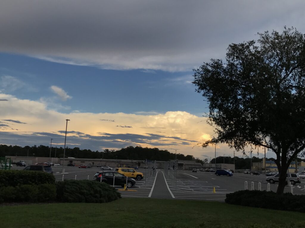 Disney University parking lot