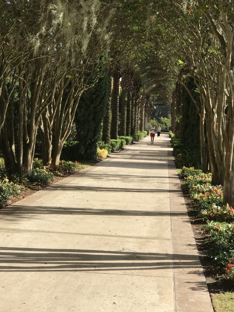 Four Seasons Resort at Walt Disney World.